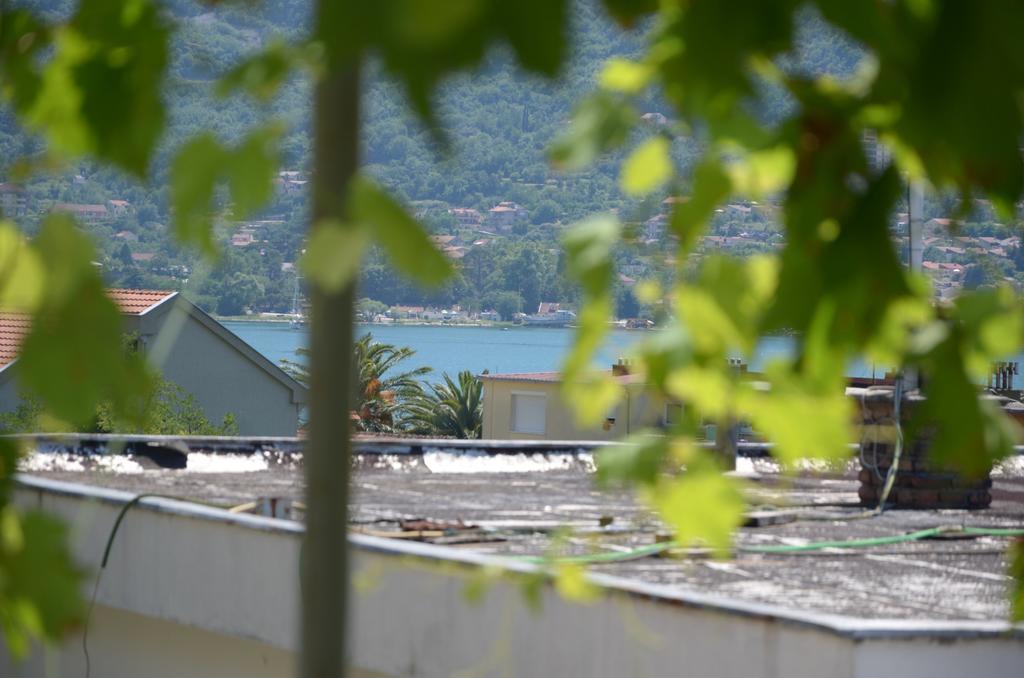 Apartments Dakovic Kotor Luaran gambar