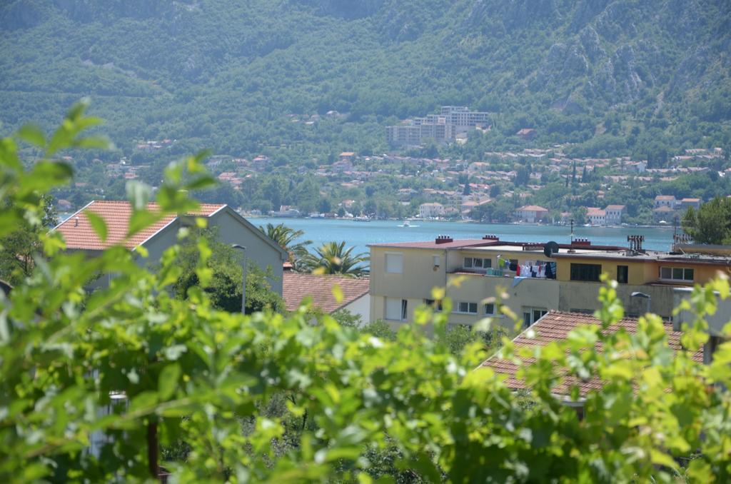 Apartments Dakovic Kotor Luaran gambar