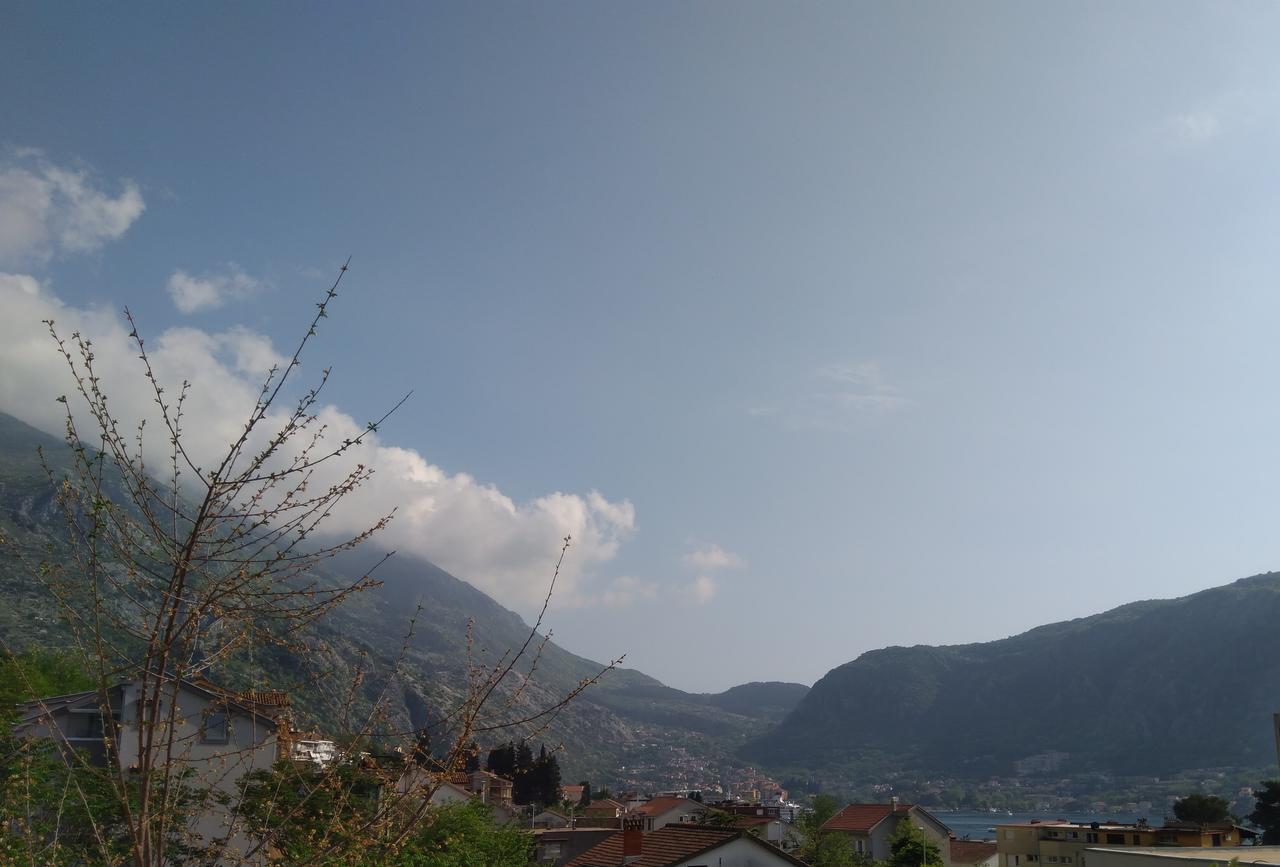 Apartments Dakovic Kotor Luaran gambar