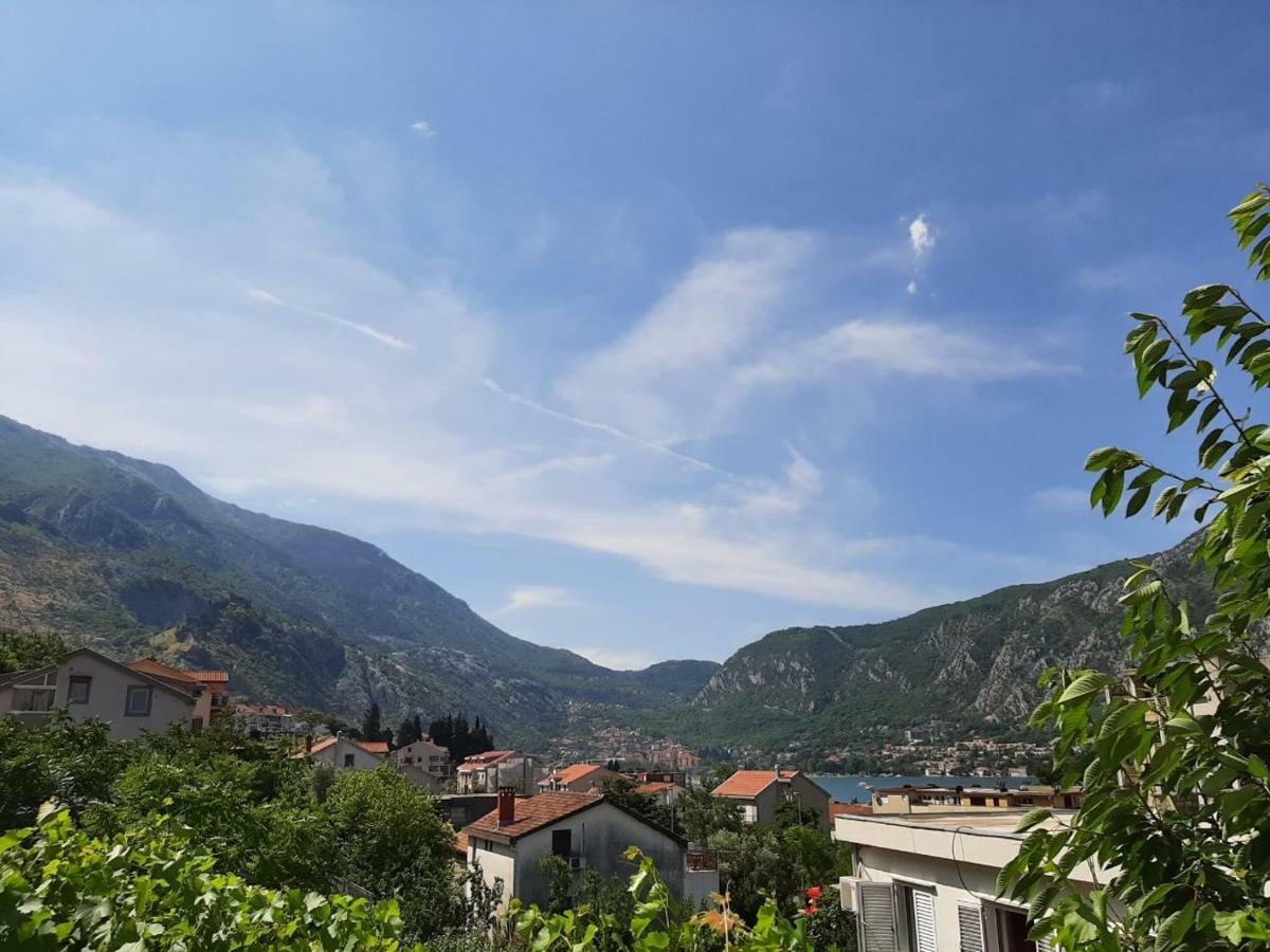 Apartments Dakovic Kotor Luaran gambar