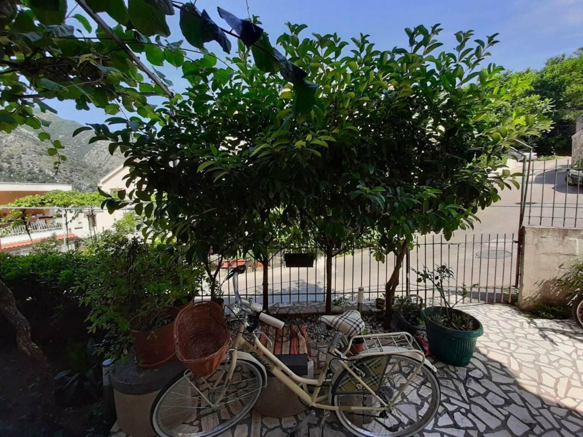 Apartments Dakovic Kotor Luaran gambar